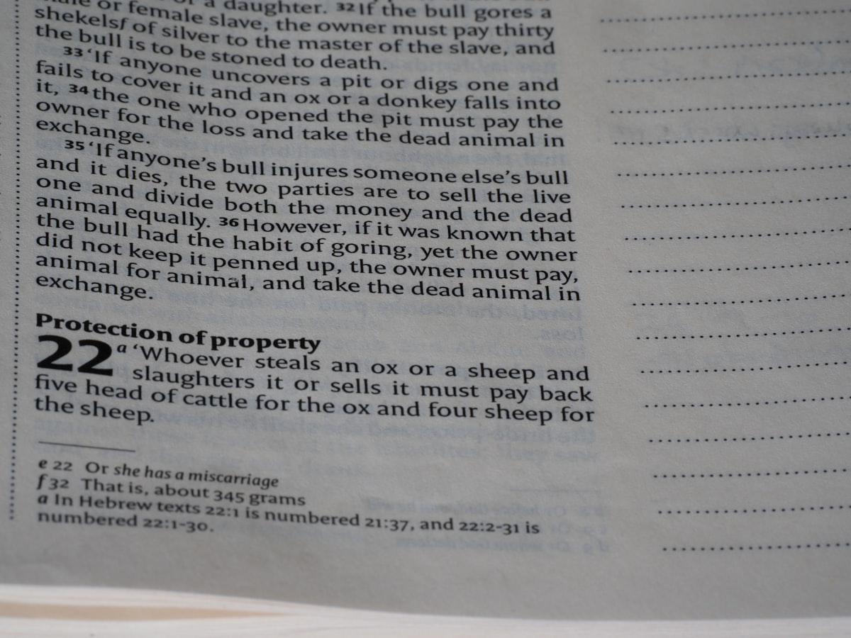 Close-up of generic printed legal document text — abstract stock imagery